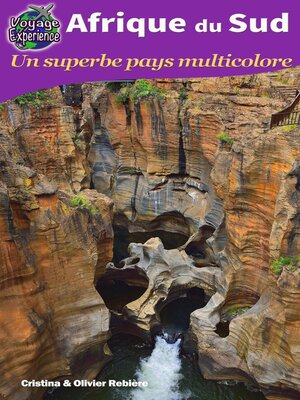 cover image of Afrique du Sud